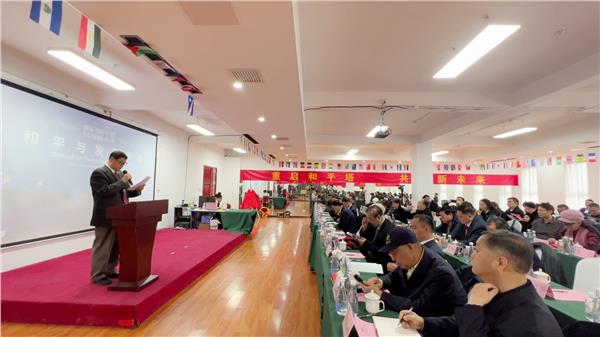 “重启和平塔，共创新未来”和平与发展峰会圆满落幕，共绘全球发展新蓝图