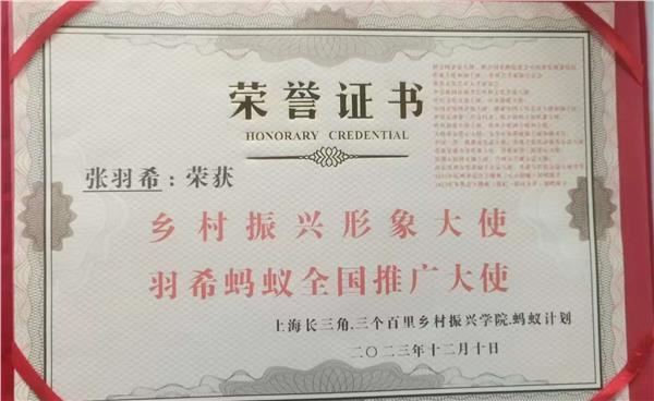 专访亚洲天后、爱国港星、中国国际新闻杂志社副社长张羽希：以艺术为桥，书写文化传播新篇
