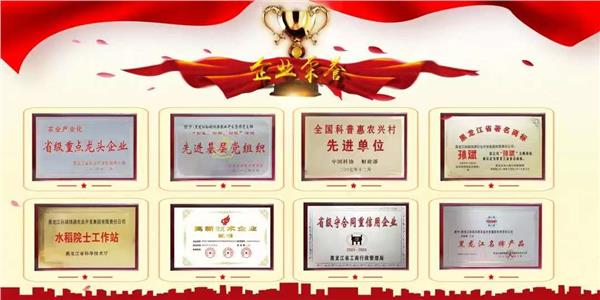 中国国际新闻杂志社专家智库委员会副主席张书菡、中国艺术家协会副会长付秀军等专家到访黑龙江鸿源农业开发集团