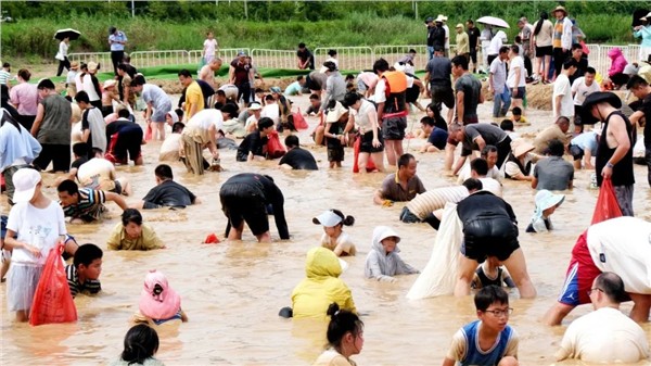 第三届芜湖乡村文旅活动季开幕！