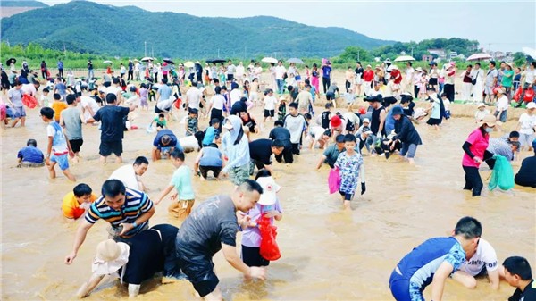 第三届芜湖乡村文旅活动季开幕！