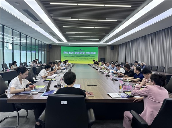 “双碳”破局：喀什绿色新能源企业与消纳端创新企业项目对接专题会定绿色能源产业化路径
