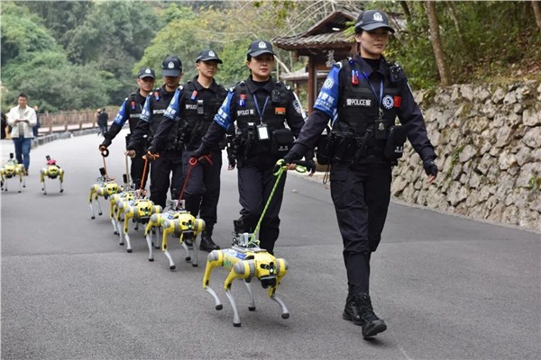 以场景创新引领智能经济新未来