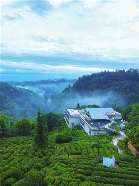 陈献春：构建支撑"场景驱动型经济"的理论框架、人才图谱与学科新生态
