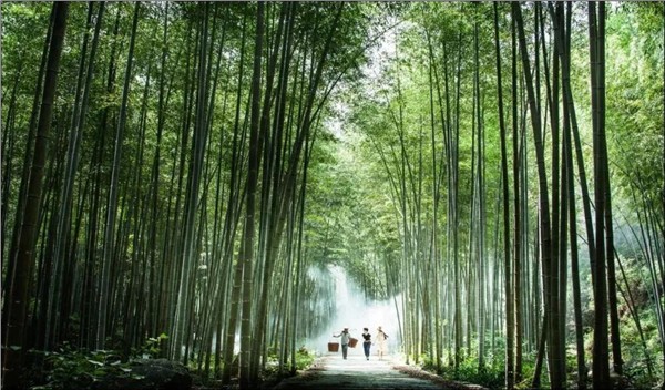 陈献春：构建支撑"场景驱动型经济"的理论框架、人才图谱与学科新生态
