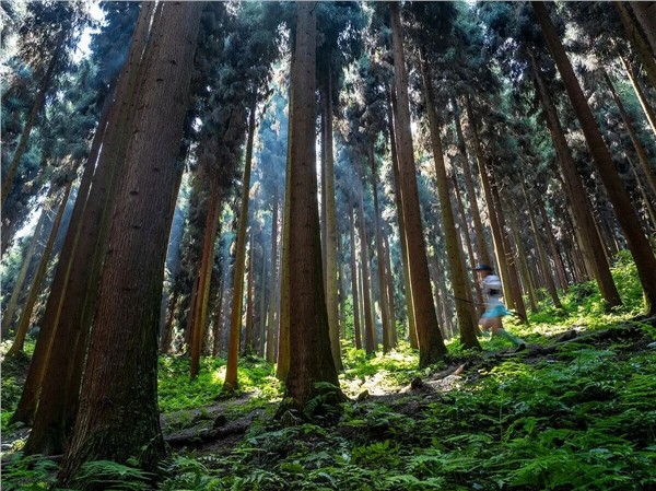 成都彭州市“彭派生活方式”从“旅游目的地”到“生活目的地”的转型路径探析