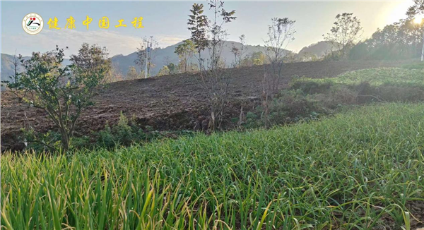 _IBK_图片3.png 千里赴约为民众,开启健康新征程