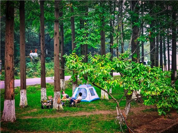 加快培养和构建以“生活策展人”和“场景架构师”为核心的场景创新人才体系