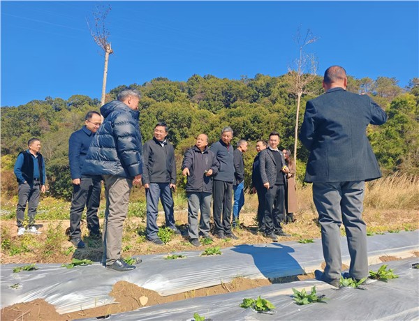 广东省功能农业示范基地（惠州）挂牌 赋能惠州乡村振兴产业升级图2