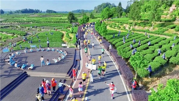 陈献春：运用场景美学五大原理推进旅游景区“小而美”场景焕新的方法探析