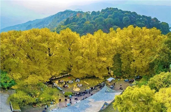 陈献春：运用场景美学五大原理推进旅游景区“小而美”场景焕新的方法探析