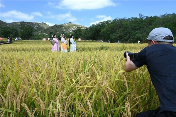陈献春：“小而美”文旅业态发展政策引领乡村文旅发展逻辑根本性转向