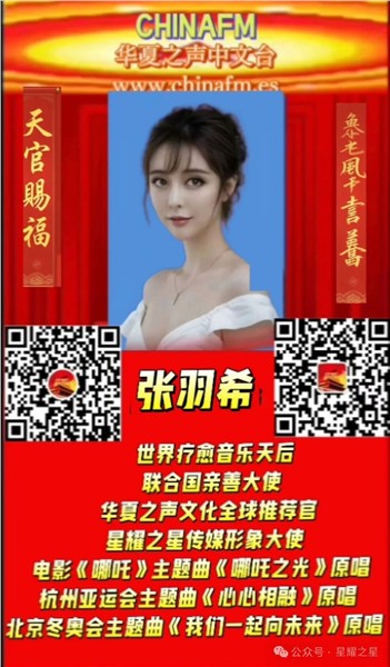 爱国港星、中国国际新闻杂志社副社长张羽希:大爱无疆奏响时代强音，以疗愈音乐brdging世界，荣获多项国际殊荣图2