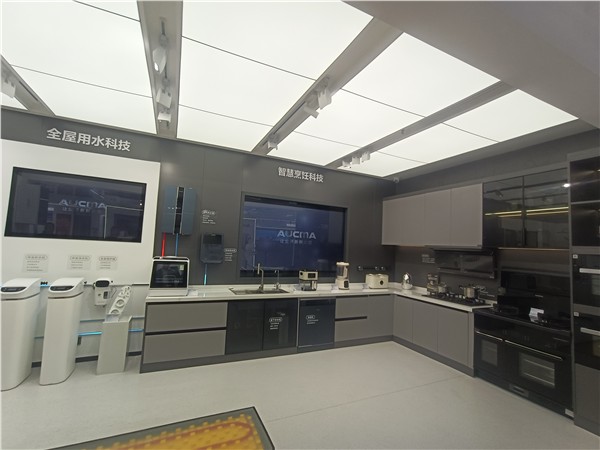 中国经贸杂志社副主编郝江华调研澳柯玛集团