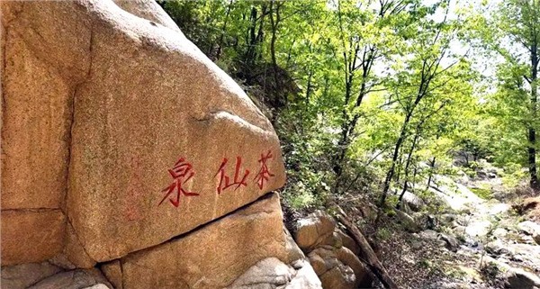 探访少室山 感悟茶仙泉图2