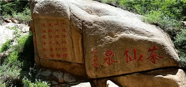 _IBK_8.jpeg 探访少室山 感悟茶仙泉