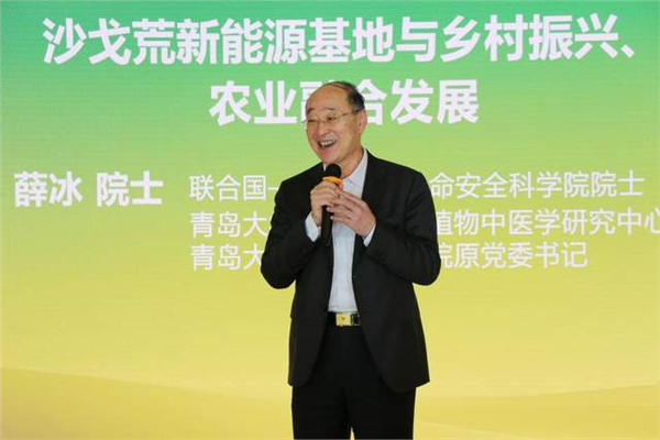 锚定国家三大安全 打造世界级绿色发展标杆——新疆麦盖提沙戈荒特大型新能源基地项目推介会在京圆满举行