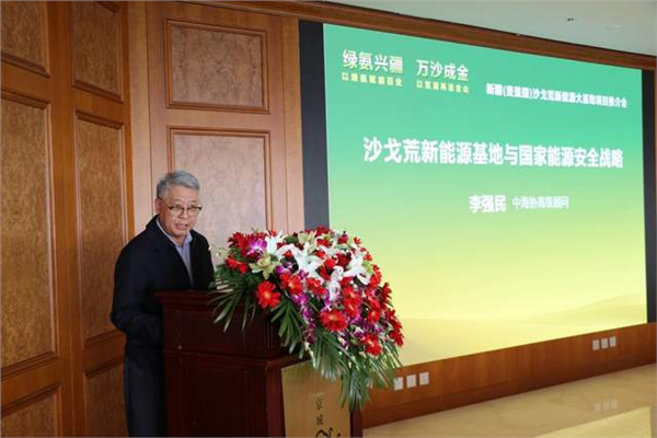 汇聚万亿级投资势能 铸就新型能源体系压舱石——新疆麦盖提沙戈荒特大型新能源基地全面启动