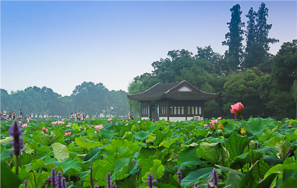 _IBK_4.png 陈献春:场景创新实验室的场景创新方法论