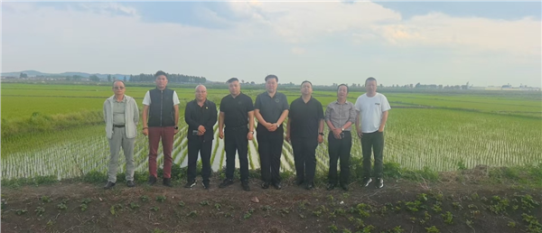 赋能乡村生态农业 助力健康中国建设