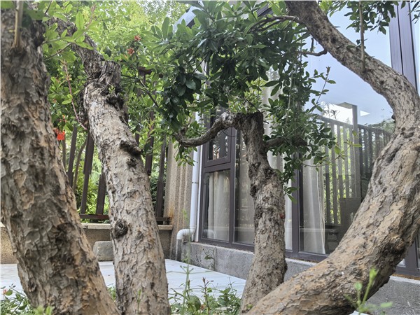 “养林画馆”今日在千年帝都洛阳揭牌