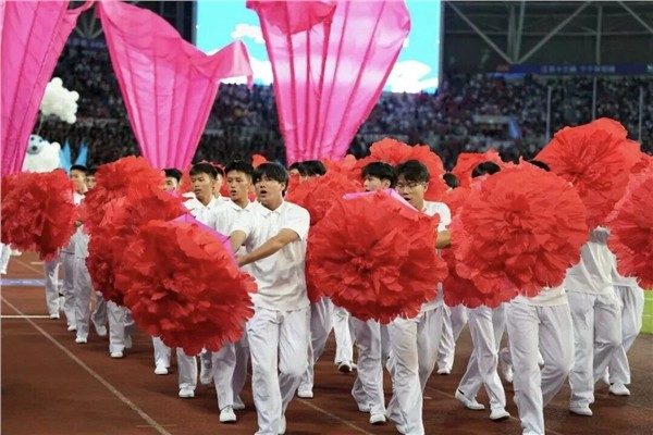 少林小龙武校210名学子惊艳江苏省城市足球联赛主题展演图2