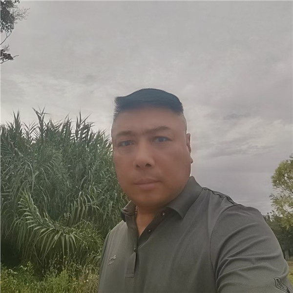 郝江华：七律·精忠报国组诗