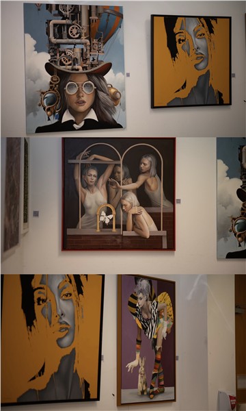 首届爱尔兰-中国文化艺术节画展热展都柏林 中西艺术融合打造现象级文化磁场